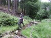 Urwald